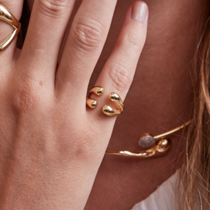 Anel Aspas em Ouro Amarelo 18K